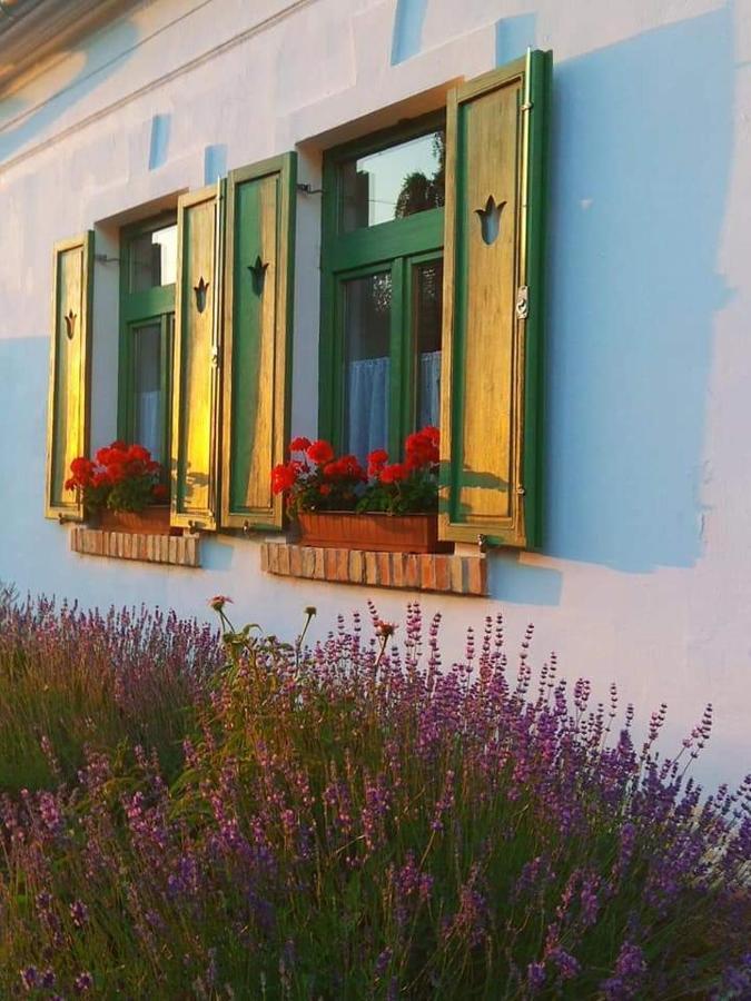 Egkoris Vendeghaz Hotel Bakonyszucs Bagian luar foto